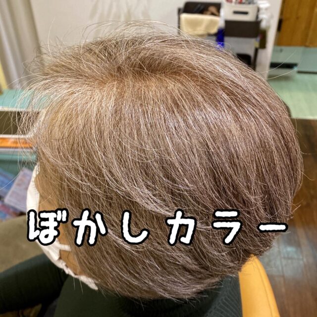 ほとんどが白髪のお客様👩‍🦳
白髪染めと言うよりは
『ぼかしカラー』

グランマだってオシャレにしたいですもんね💖

#ぼかしカラー#白髪ぼかし#白髪染めに見えない白髪染め#白髪染め

hi-z hair
横浜市都筑区中川中央1-22-11 エミリオ1F
045-532-6226

#美容室#ショートカット#個室サロン#一人営業サロン#大人のプライベートサロン#こだわりの美容室#艶カラー#炭酸泉#炭酸泉スパ#電子トリートメント#美容室ジプシー#アンチエイジング#センター北#センター北美容室#都筑区#イルミナカラー#フローディアトリート